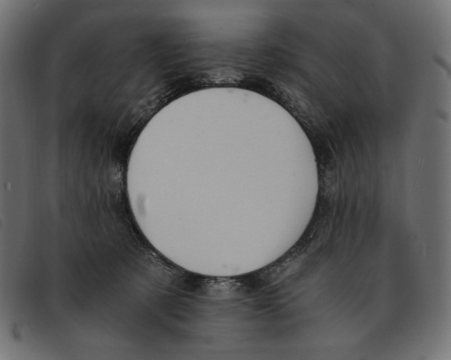 X0000092250321200710121304