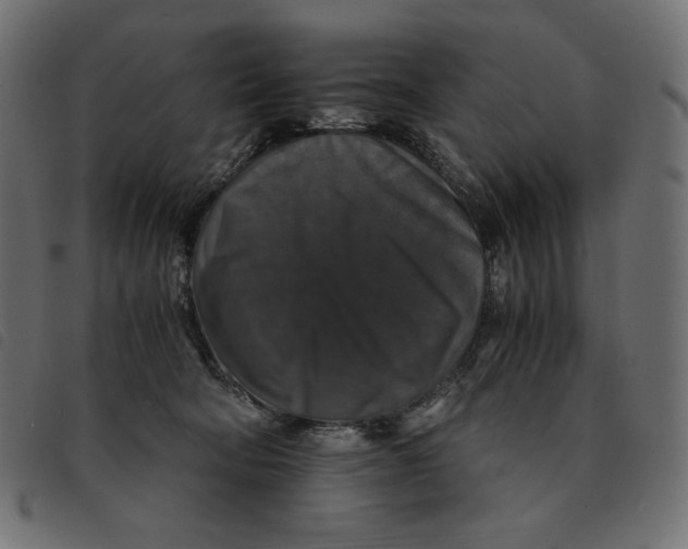 X0000092250322200710121304