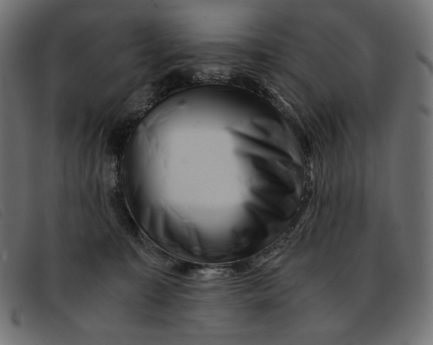 X0000092250323200710121304