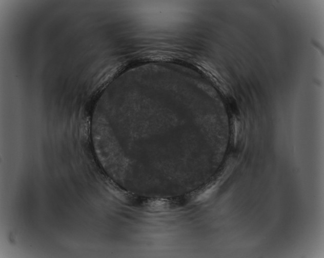 X0000092250325200710121304