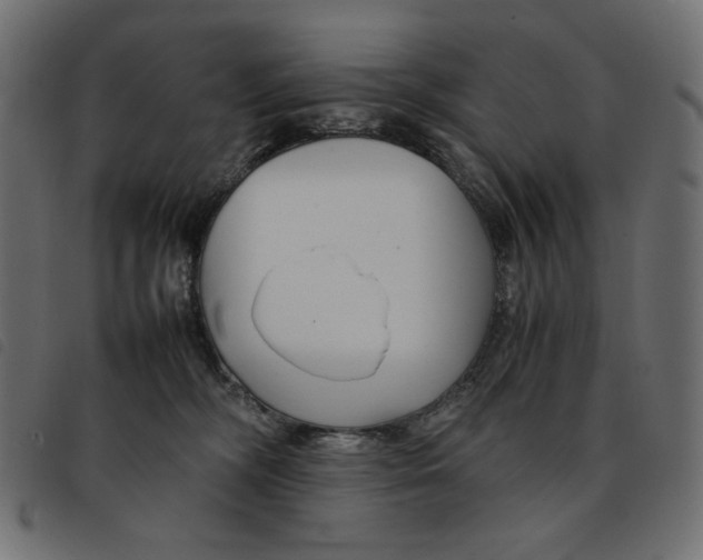 X0000092250326200710121304