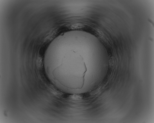 X0000092250327200710121304