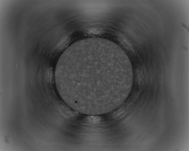 X0000092250328200710121304