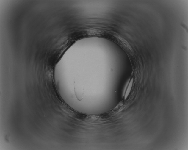 X0000092250329200710121304