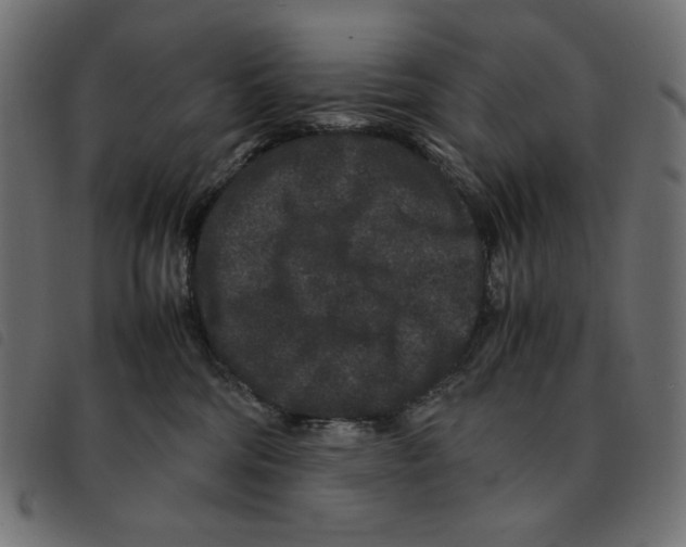X0000092250330200710121304
