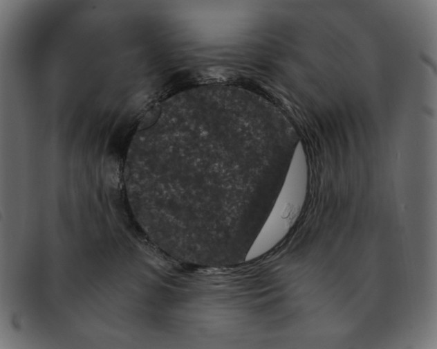 X0000092250331200710121304