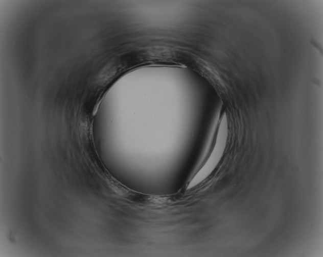 X0000092250333200710121304