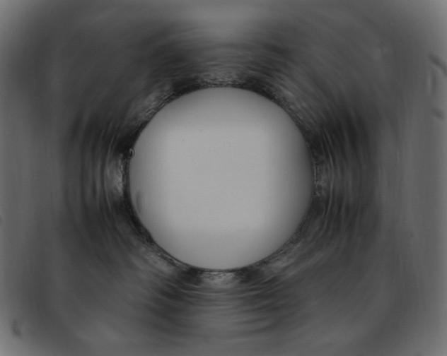 X0000092250334200710121304