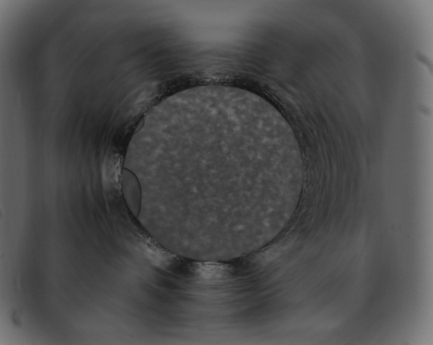 X0000092250336200710121304