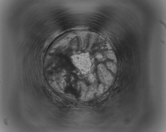 X0000092250337200710121303