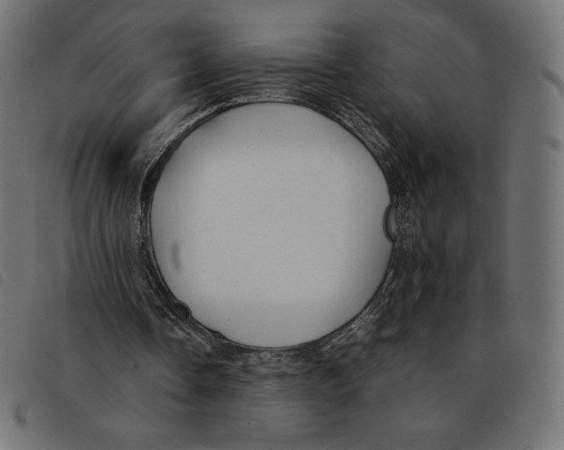X0000092250338200710121303