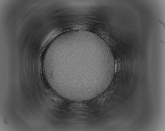 X0000092250339200710121304