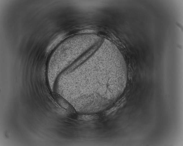 X0000092250341200710121304