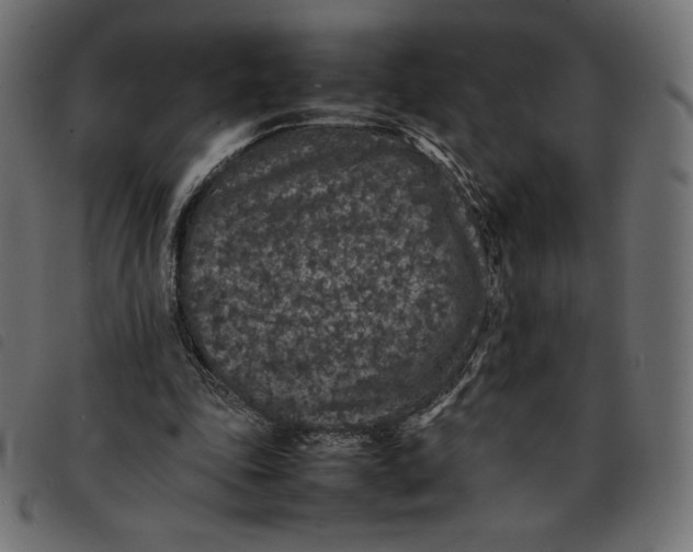 X0000092250343200710121304