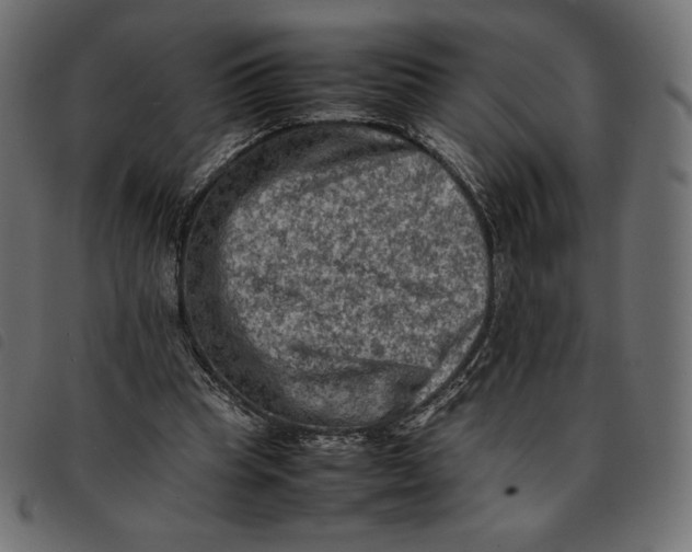 X0000092250345200710121304