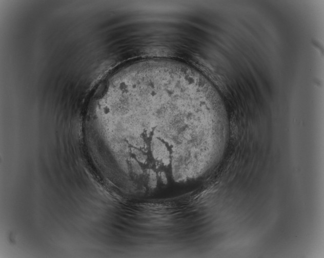 X0000092250347200710121304