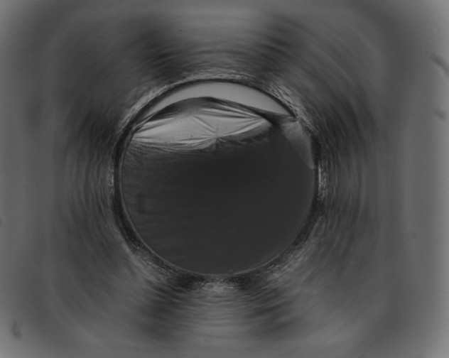 X0000092250348200710121304
