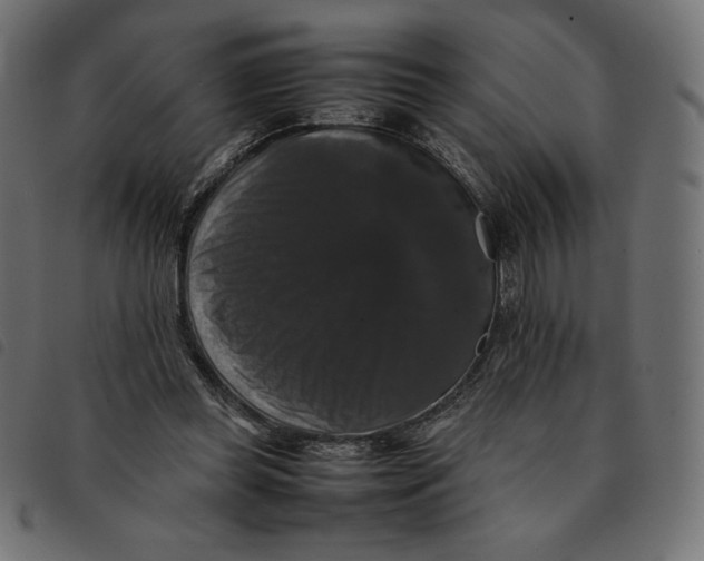 X0000092250349200710121304