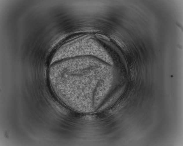 X0000092250350200710121304