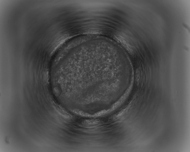 X0000092250351200710121304
