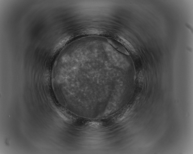 X0000092250352200710121304