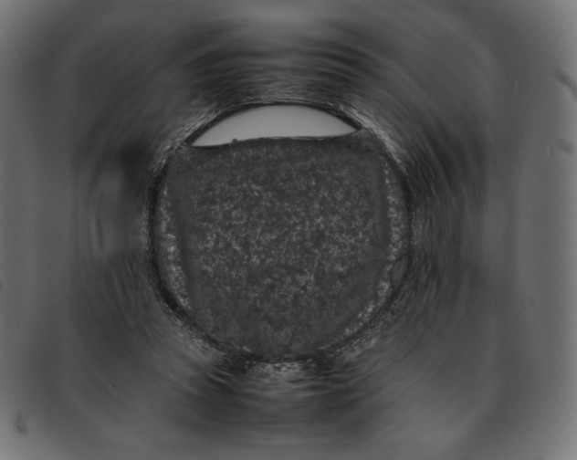 X0000092250353200710121304