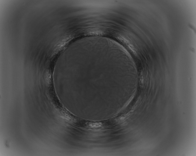 X0000092250355200710121304