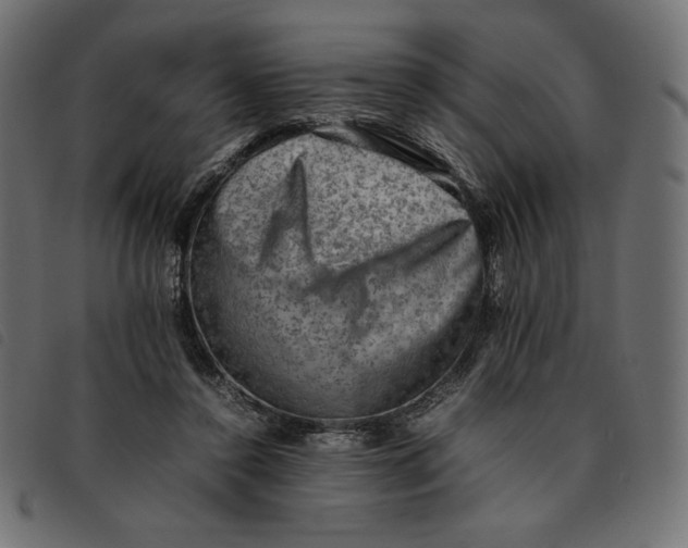 X0000092250356200710121304