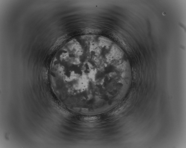 X0000092250357200710121304