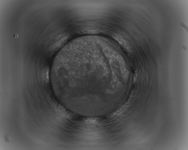 X0000092250358200710121304