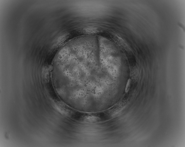 X0000092250360200710121304