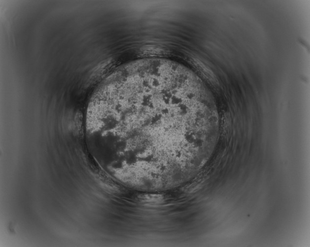 X0000092250361200710121304