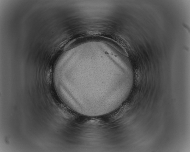 X0000092250364200710121304