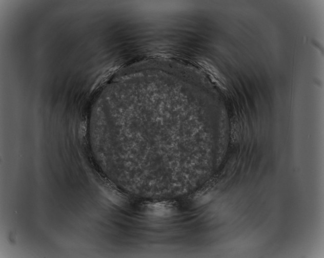X0000092250365200710121304