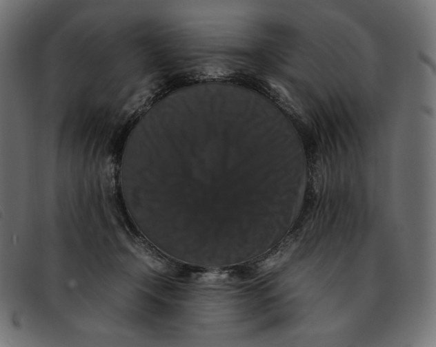 X0000092250366200710121304