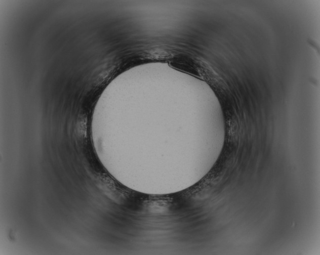 X0000092250368200710121304