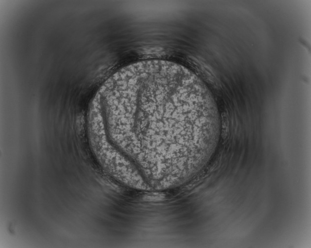 X0000092250369200710121304