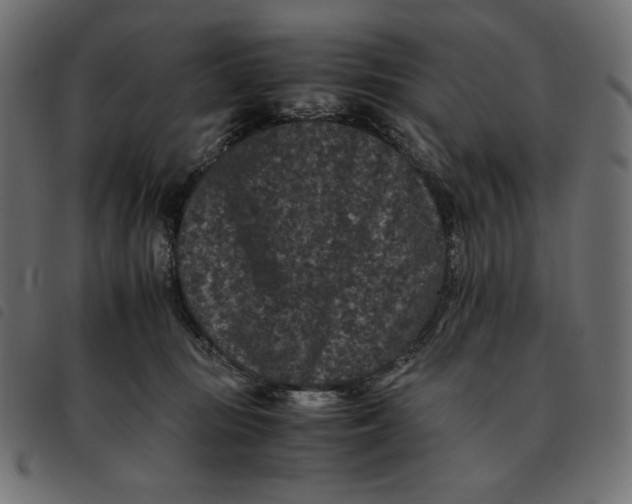 X0000092250371200710121304