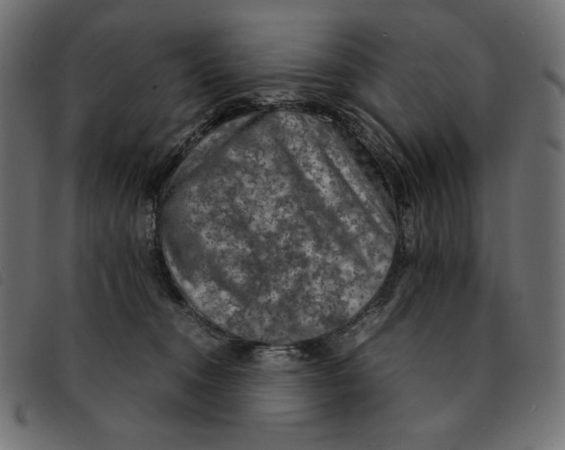 X0000092250372200710121304