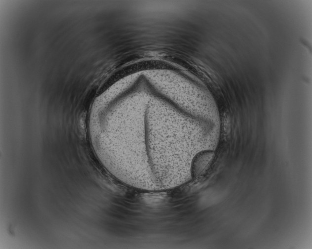 X0000092250373200710121304