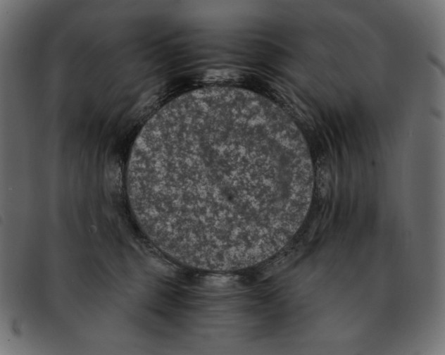 X0000092250375200710121304