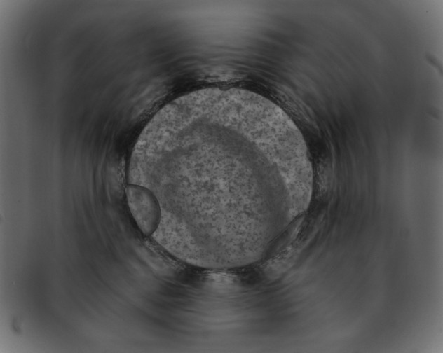 X0000092250376200710121304