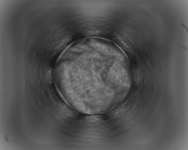 X0000092250378200710121304