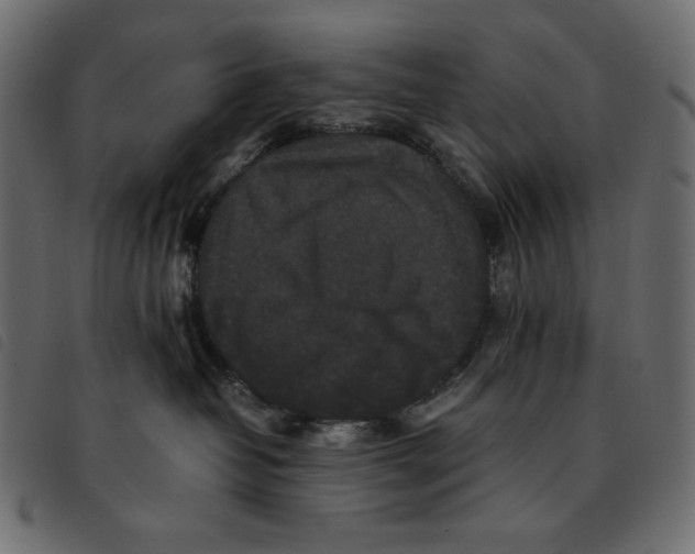 X0000092250382200710121304