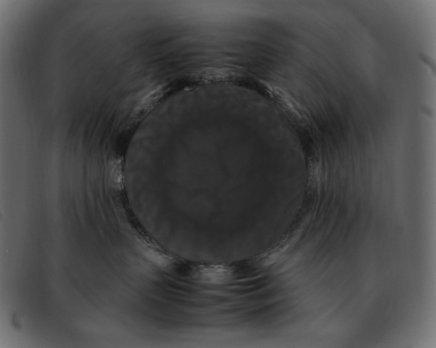 X0000092250383200710121304