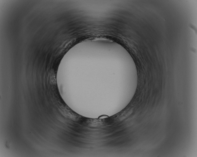 X0000092250384200710121304