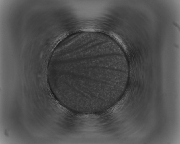 X0000092250385200710121303