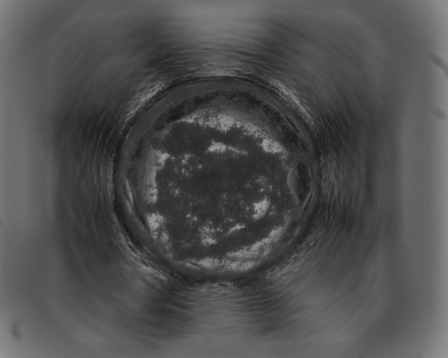 X0000092250386200710121303