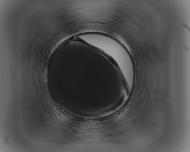 X0000092250387200710121303