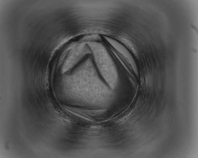 X0000092250388200710121303